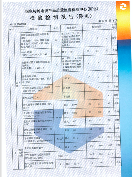 檢測報(bào)告